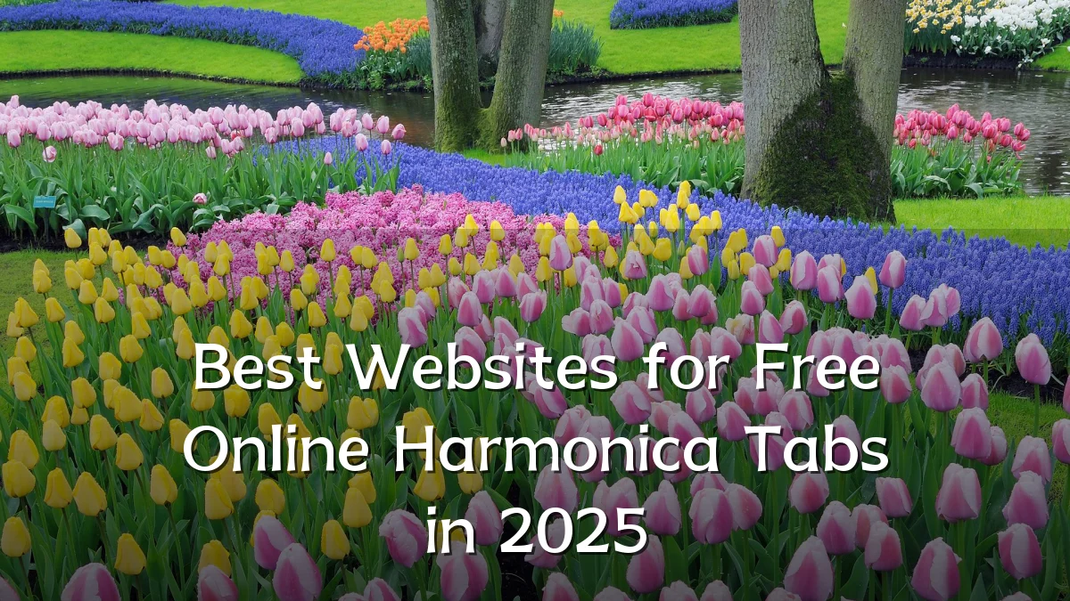 Best Websites for Free Online Harmonica Tabs in 2025