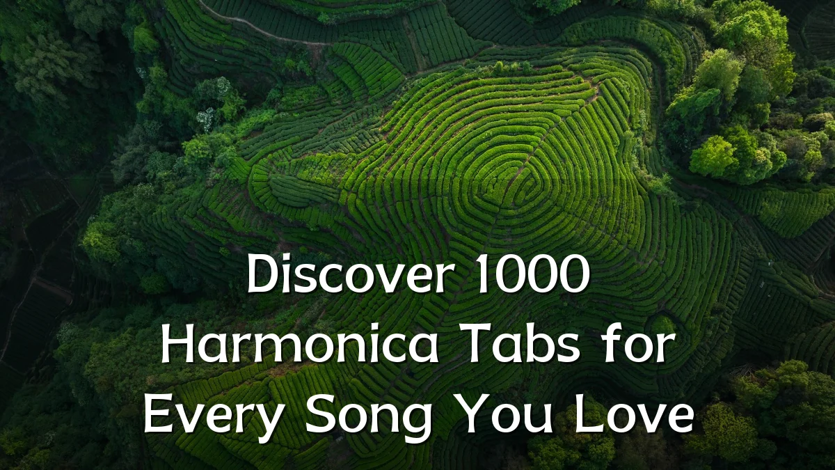 Discover 1000 Harmonica Tabs for Every Song You Love