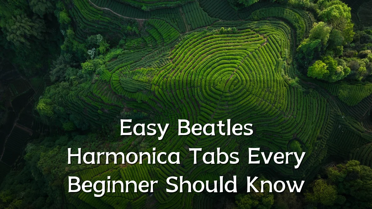 Easy Beatles Harmonica Tabs Every Beginner Should Know