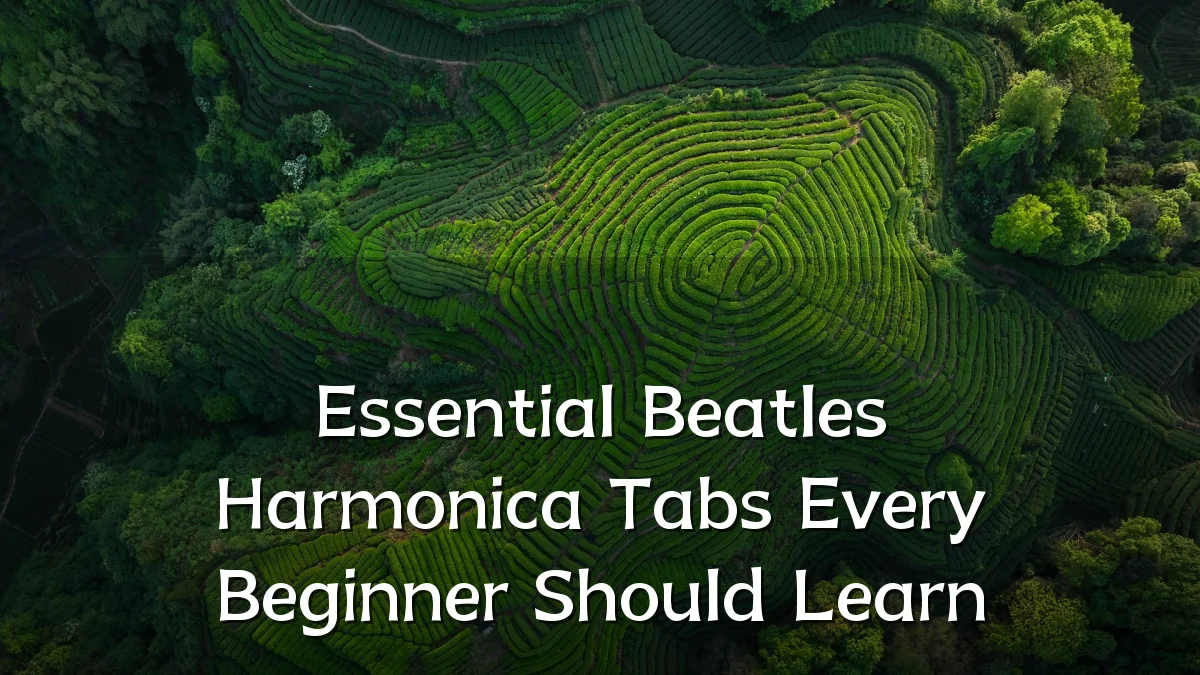 Essential Beatles Harmonica Tabs Every Beginner Should Learn