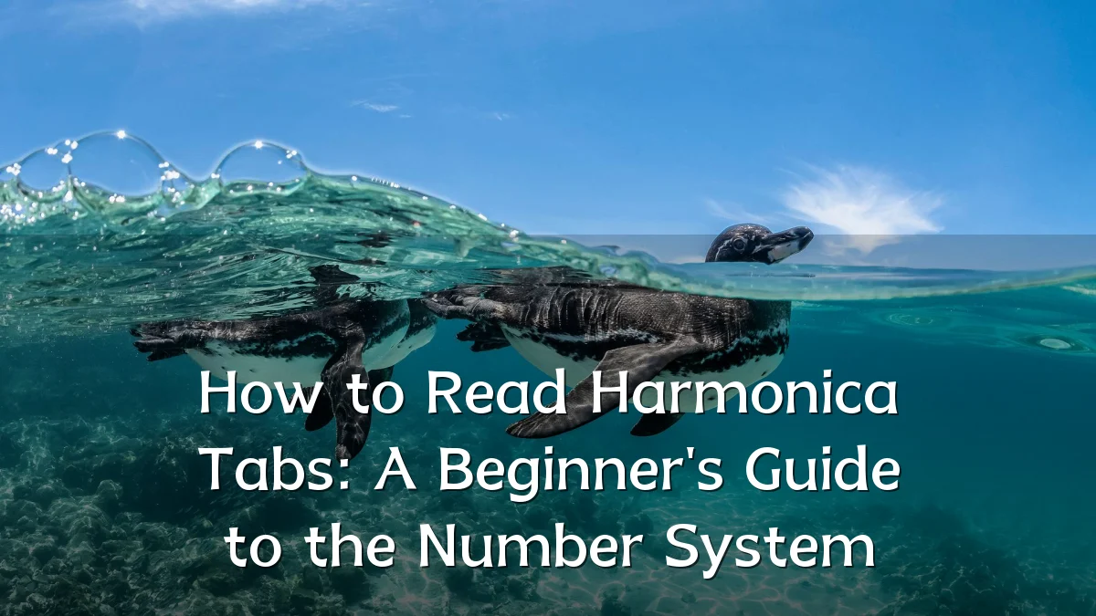 How to Read Harmonica Tabs: A Beginner's Guide to the Number System