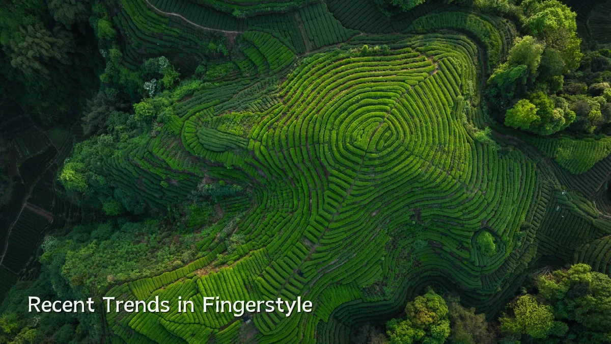 Recent Trends in Fingerstyle
