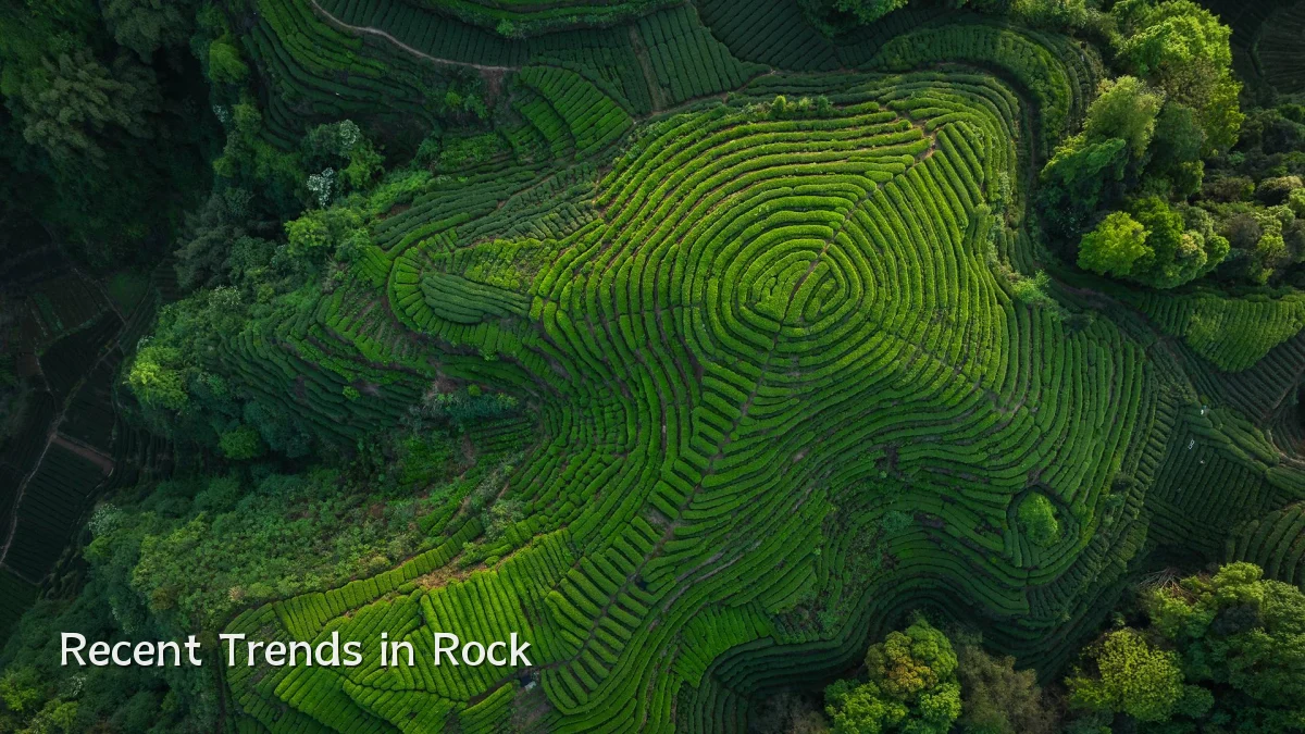 Recent Trends in Rock