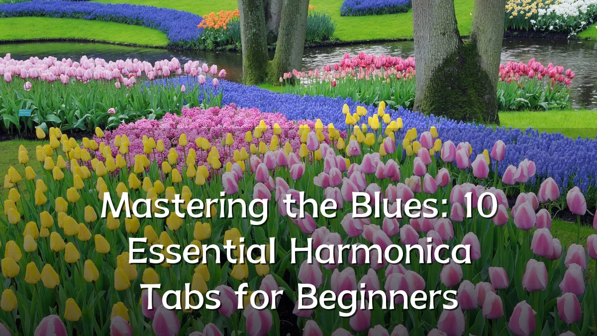 Mastering the Blues: 10 Essential Harmonica Tabs for Beginners