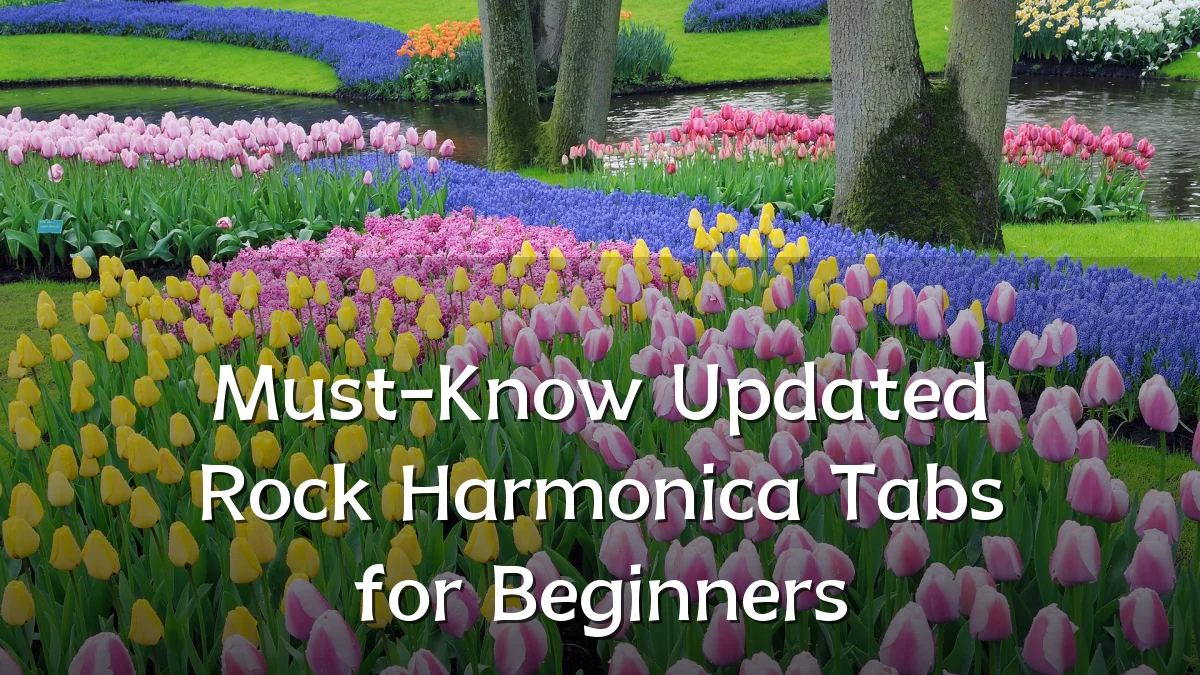 Must-Know Updated Rock Harmonica Tabs for Beginners