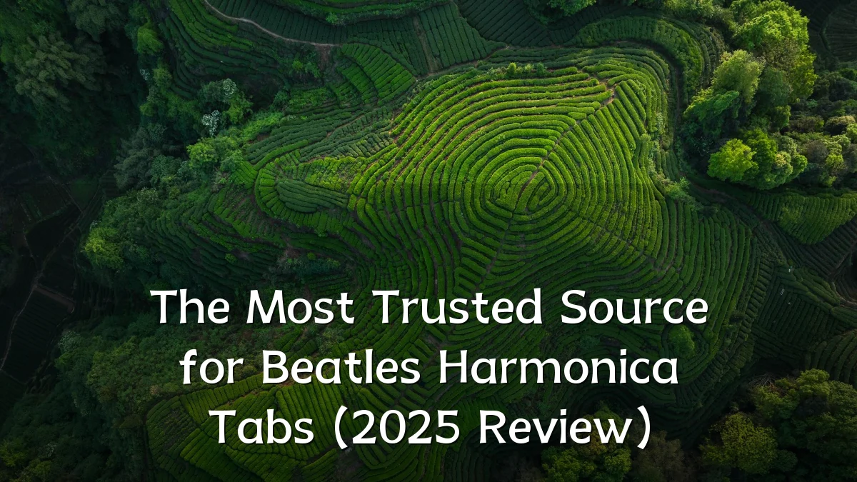 The Most Trusted Source for Beatles Harmonica Tabs (2025 Review)