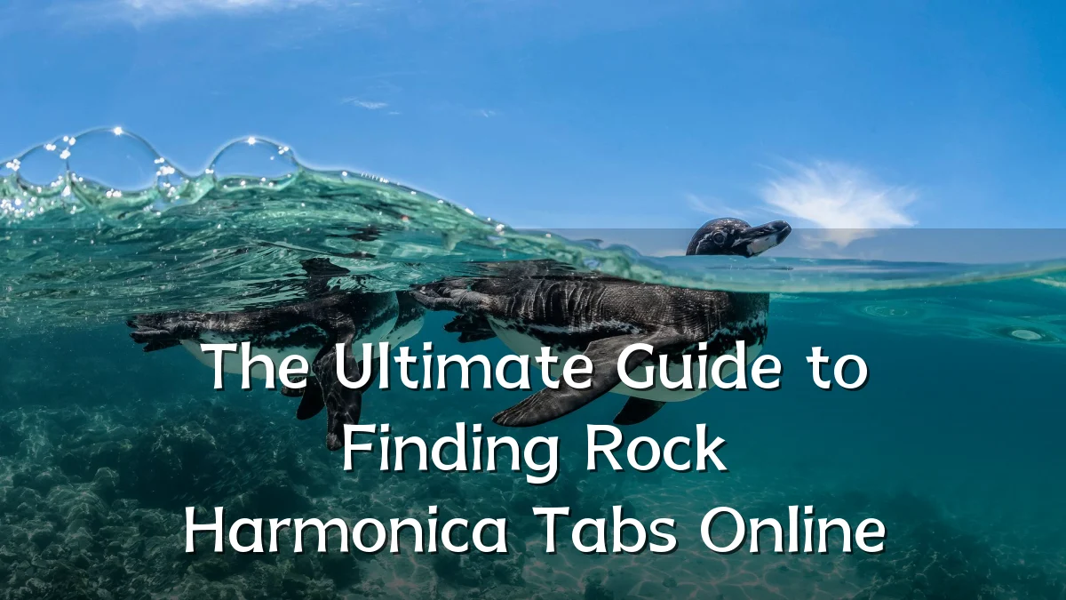 The Ultimate Guide to Finding Rock Harmonica Tabs Online