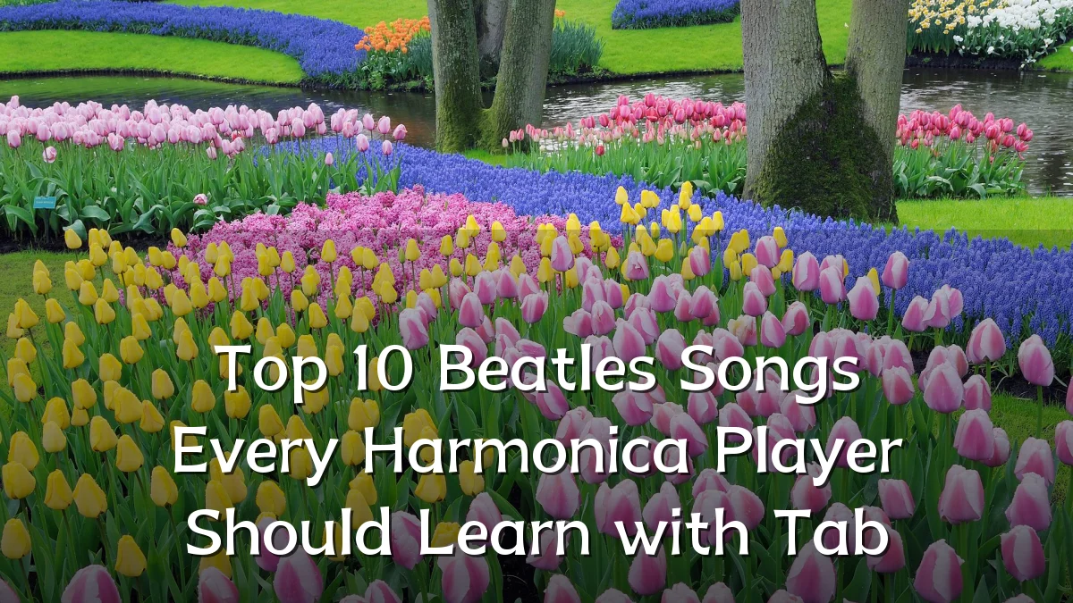 Top 10 Beatles Songs Every Harmonica Player Should Learn with Tab