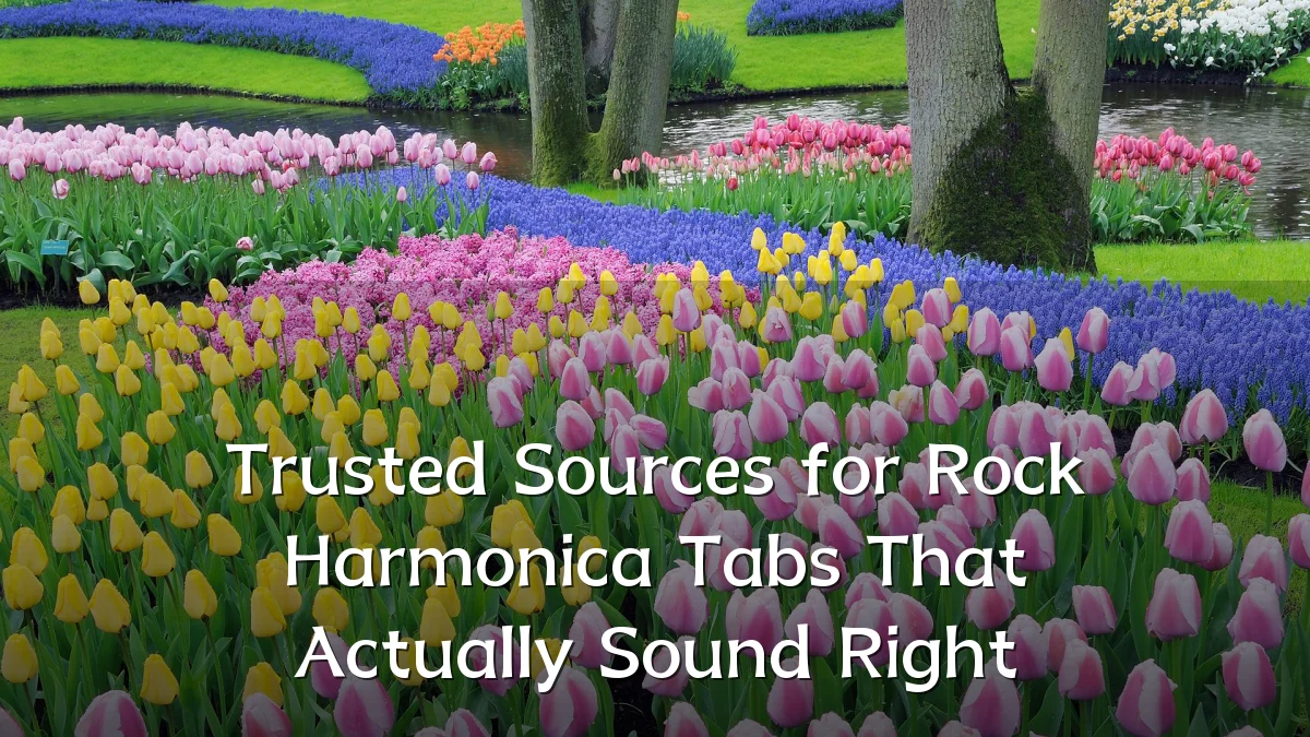 Trusted Sources for Rock Harmonica Tabs That Actually Sound Right