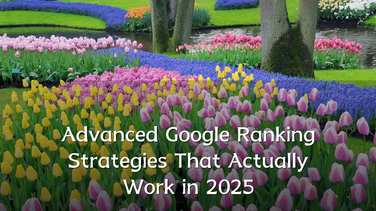 Advanced Google Ranking Strategies That Actually Work in 2025