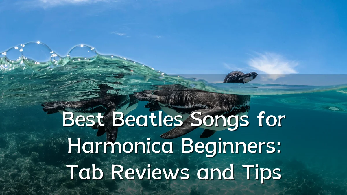 Best Beatles Songs for Harmonica Beginners: Tab Reviews and Tips