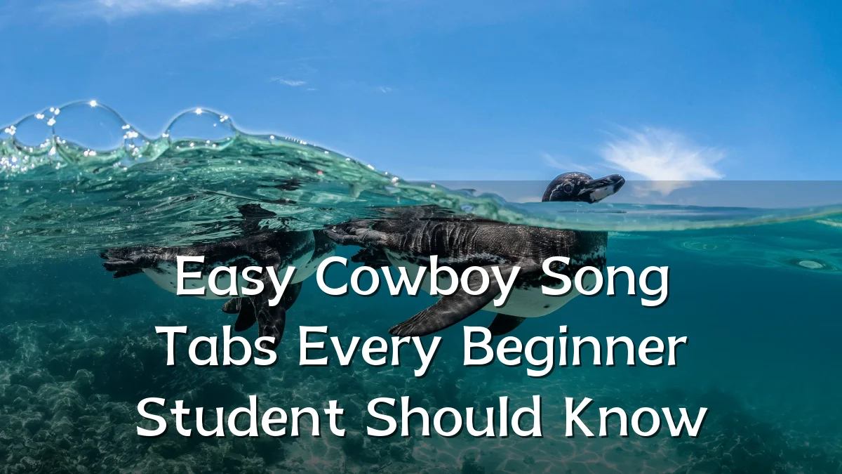 Easy Cowboy Song Tabs Every Beginner Student Should Know