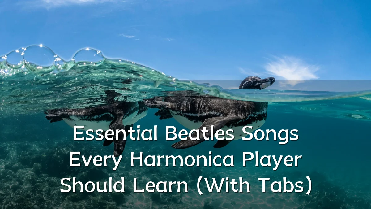 Essential Beatles Songs Every Harmonica Player Should Learn (With Tabs)