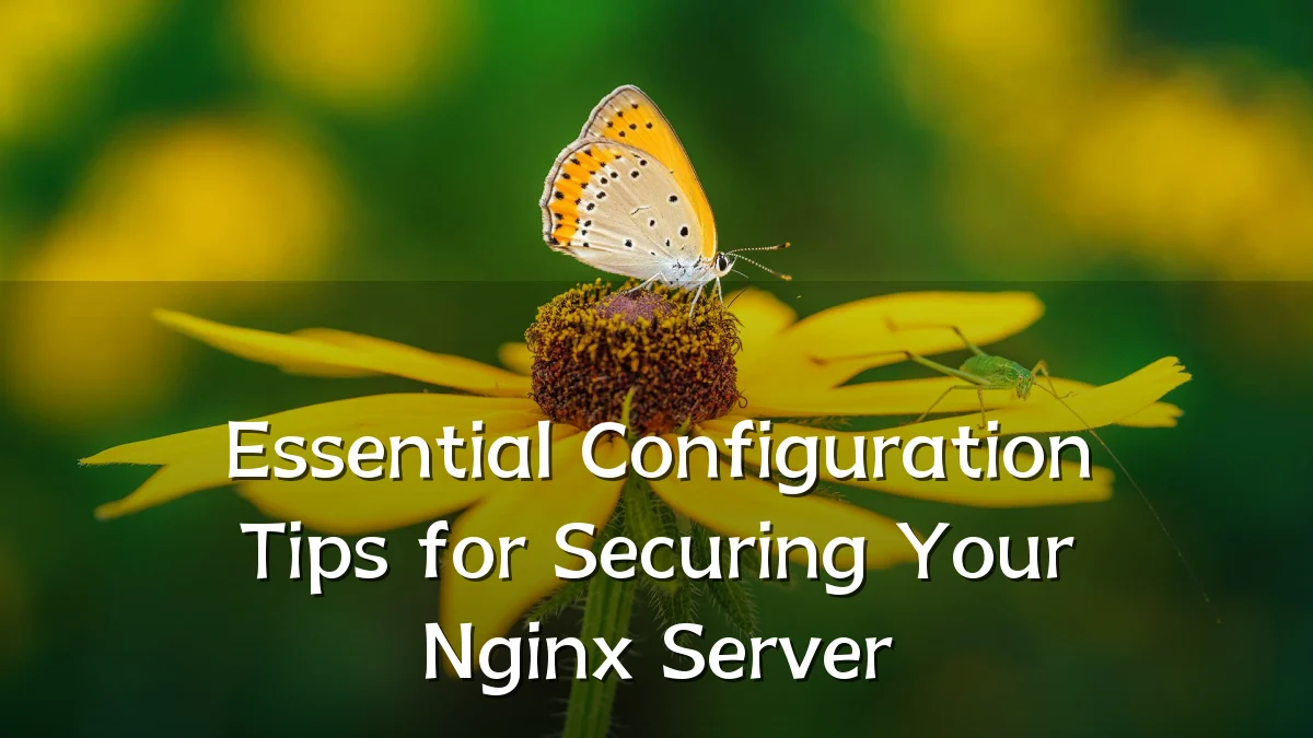 Essential Configuration Tips for Securing Your Nginx Server