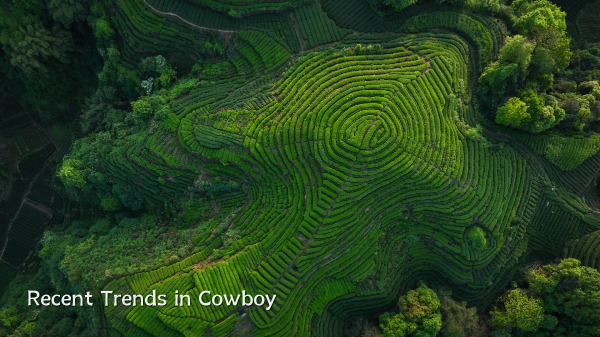 Recent Trends in Cowboy