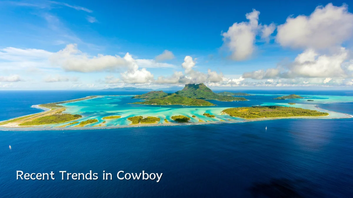 Recent Trends in Cowboy