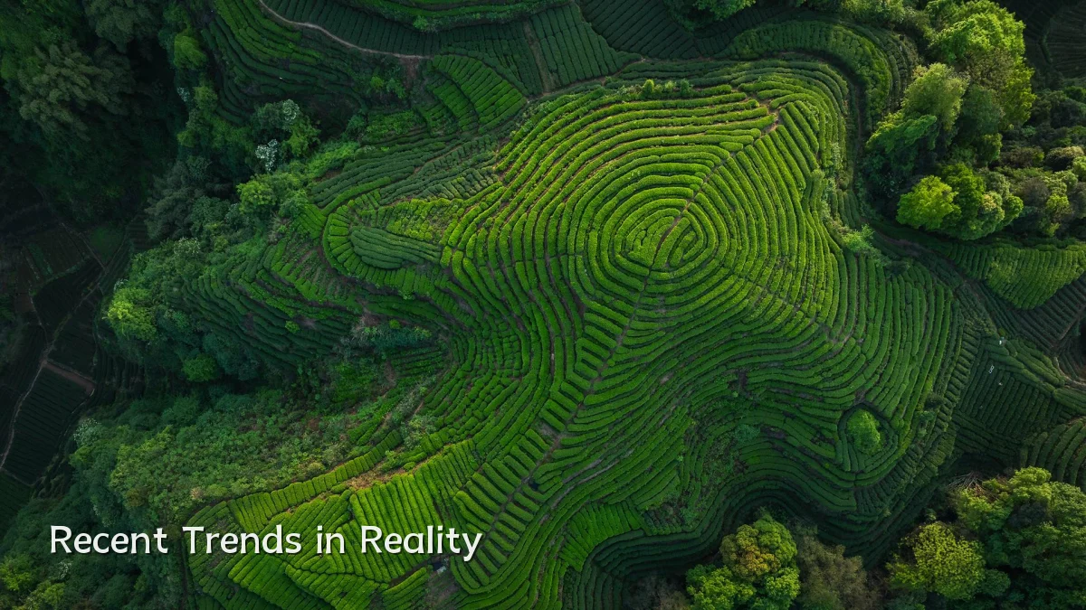 Recent Trends in Reality