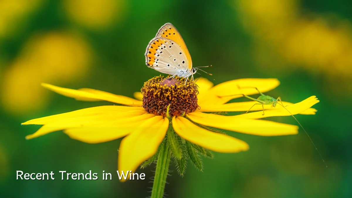 Recent Trends in Wine