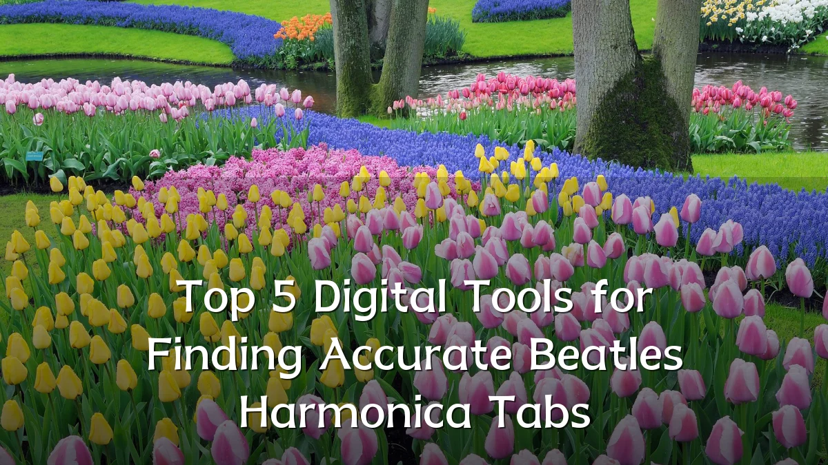 Top 5 Digital Tools for Finding Accurate Beatles Harmonica Tabs