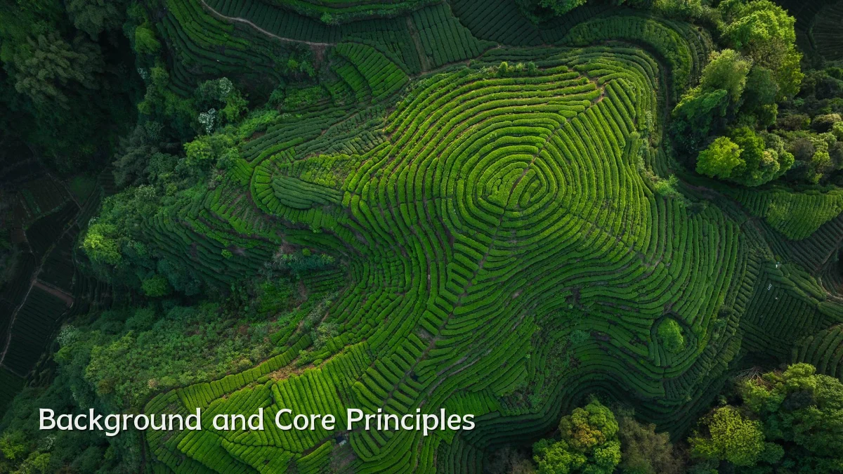 Background and Core Principles