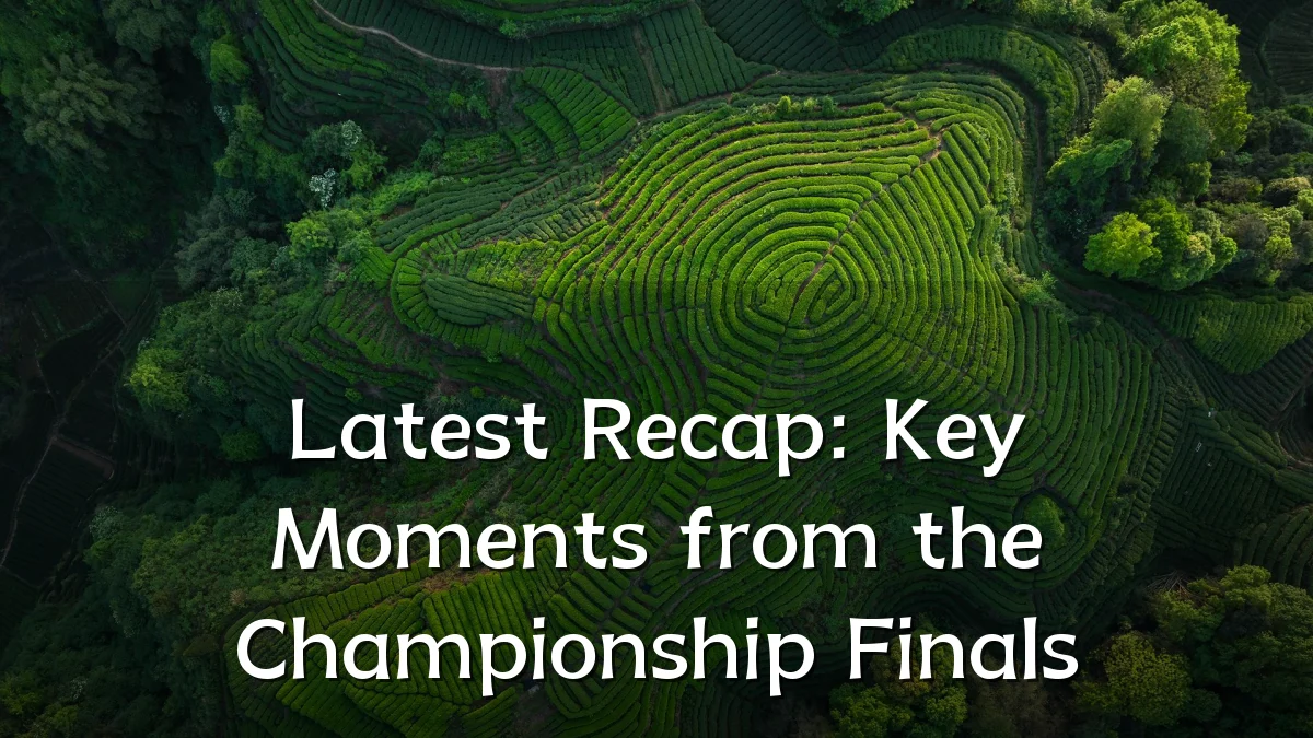 Latest Recap: Key Moments from the Championship Finals