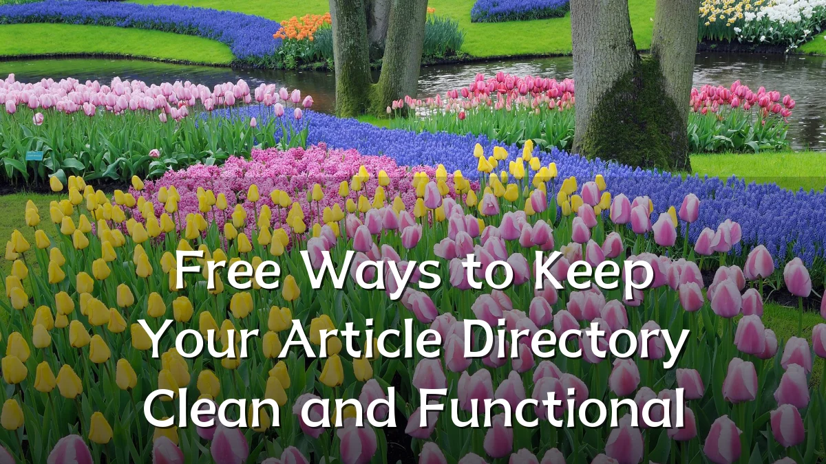 Free Ways to Keep Your Article Directory Clean and Functional
